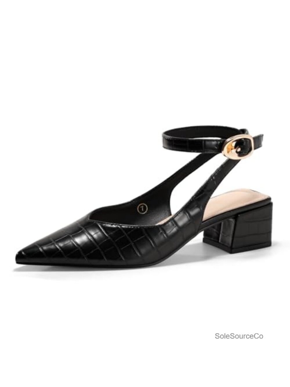 Coutgo Womens Chunky Block Low Heel Pumps Closed Pointed Toe Ankle Strap